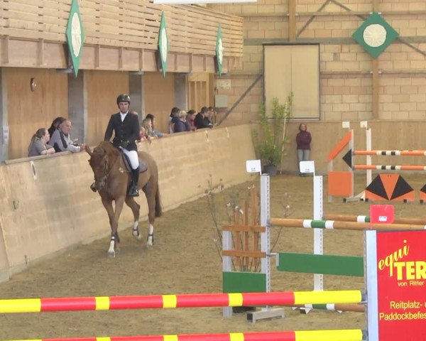 Reitturnier Friedrichshafen - Ailingen 2019