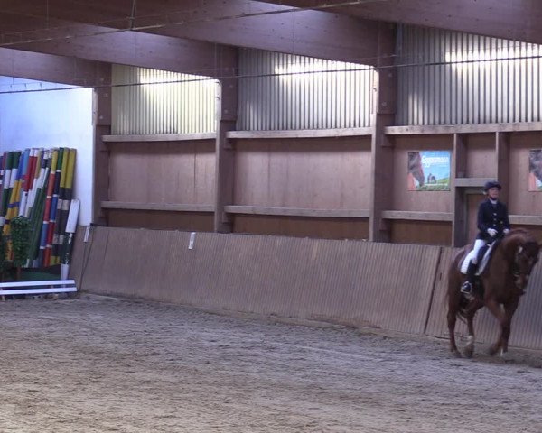 Reitturnier Lentzke - Reitanlage Krehl 2019