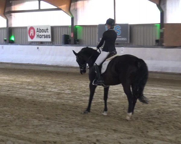 Reitturnier Lindlar-Süttenbach 2019