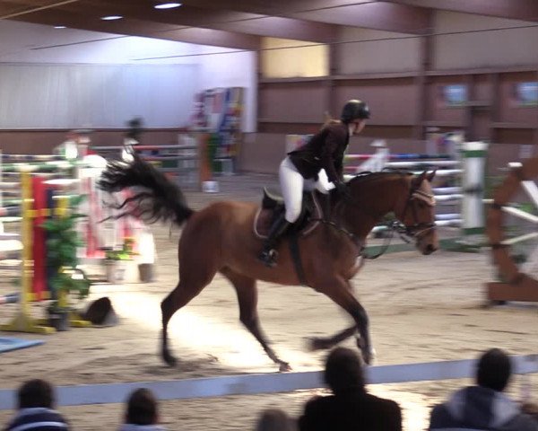Reitturnier Lentzke - Reitanlage Krehl 2019