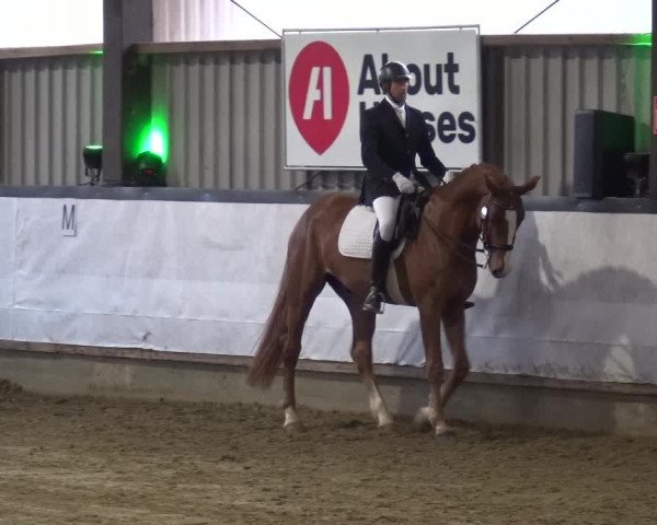 Reitturnier Lindlar-Süttenbach 2019