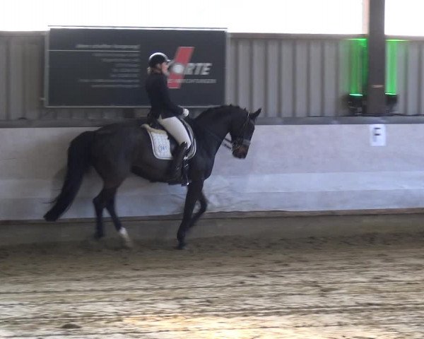 Reitturnier Lindlar-Süttenbach 2019