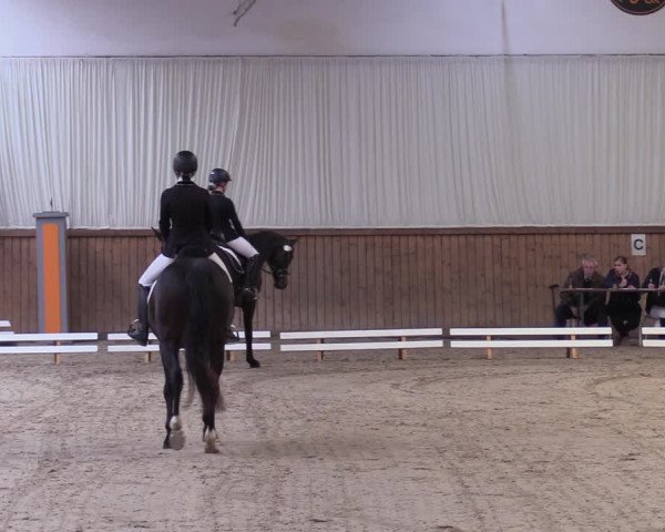 Reitturnier Lentzke - Reitanlage Krehl 2019