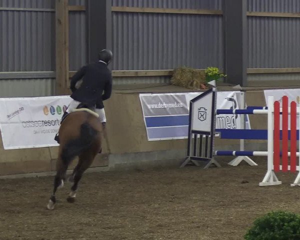 Reitturnier Damp-Dorotheental 2019