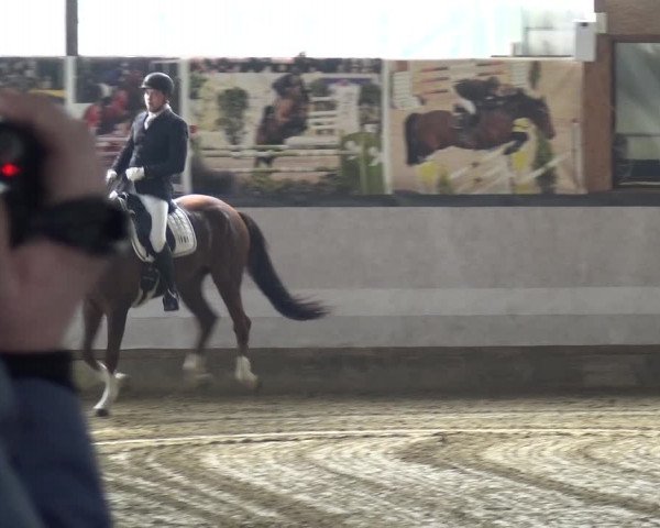 Reitturnier Lindlar-Süttenbach 2019