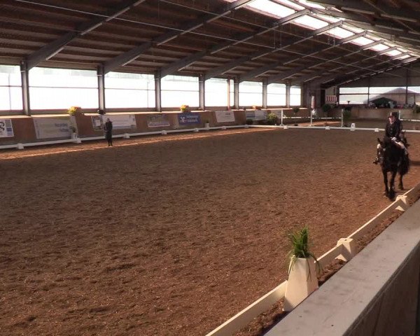 Reitturnier Damp-Dorotheental 2019