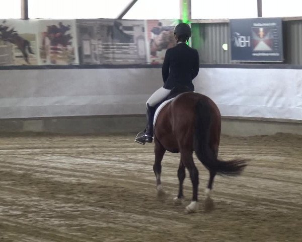 Reitturnier Lindlar-Süttenbach 2019