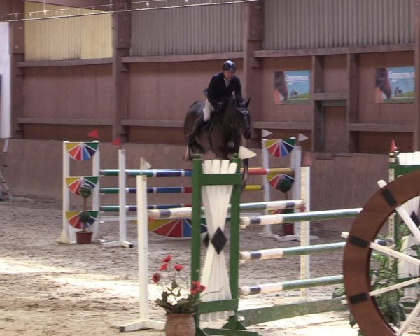 Reitturnier Lentzke - Reitanlage Krehl 2019