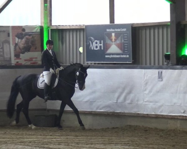 Reitturnier Lindlar-Süttenbach 2019