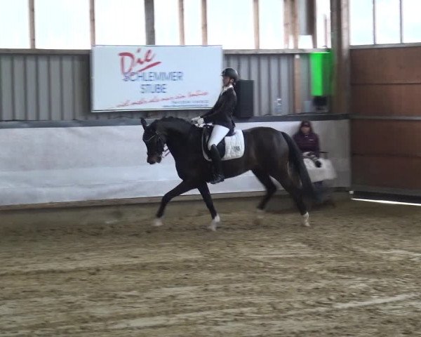 Reitturnier Lindlar-Süttenbach 2019
