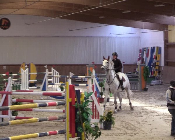 Reitturnier Lentzke - Reitanlage Krehl 2019