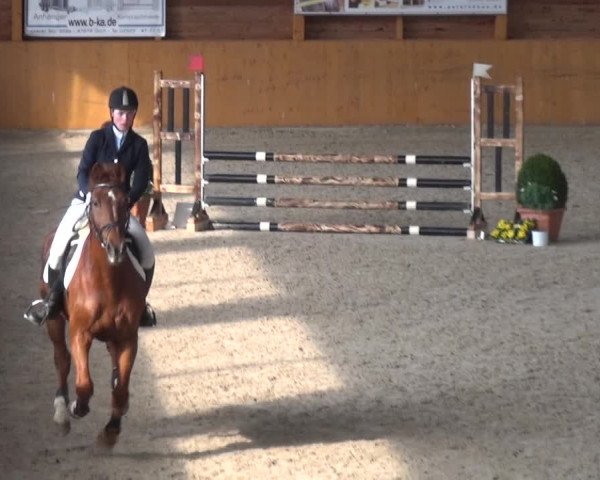 Reitturnier Xanten 2019
