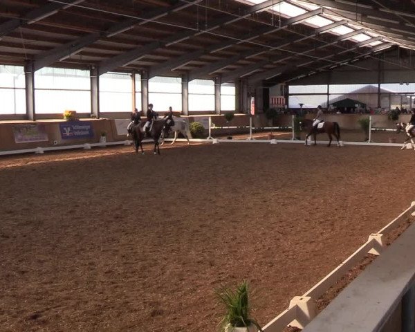 Reitturnier Damp-Dorotheental 2019