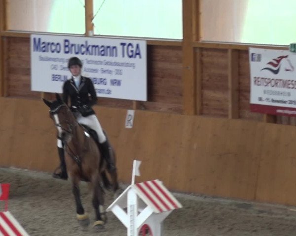 Reitturnier Xanten 2019