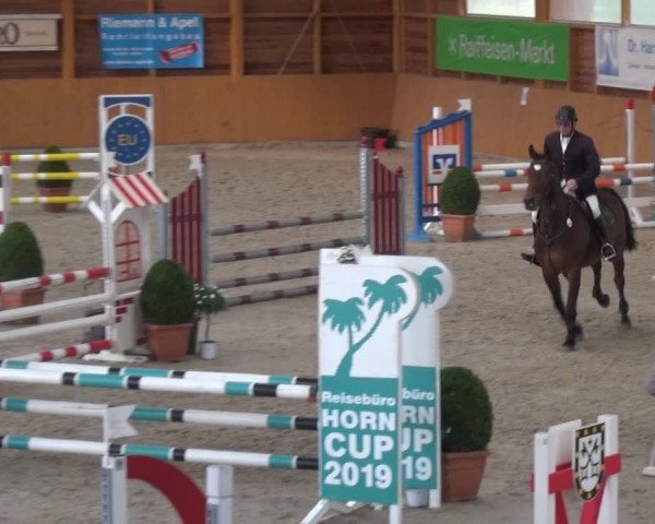 Reitturnier Xanten 2019