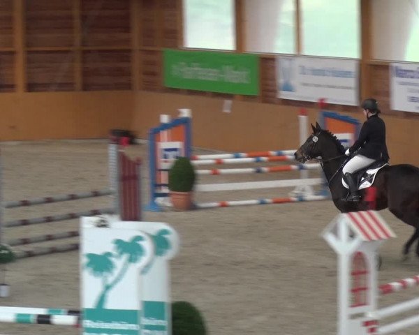 Reitturnier Xanten 2019