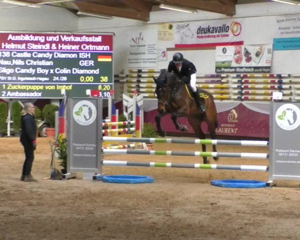 Reitturnier Eicherloh RH Laurent/Obb. 2019