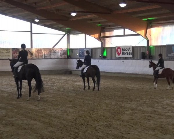 Reitturnier Lindlar-Süttenbach 2019