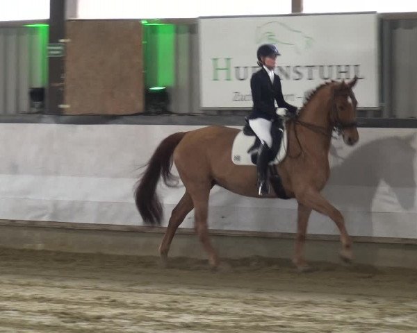 Reitturnier Lindlar-Süttenbach 2019