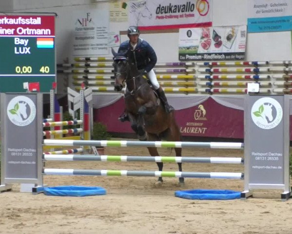 Reitturnier Eicherloh RH Laurent/Obb. 2019