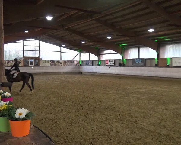 Reitturnier Lindlar-Süttenbach 2019