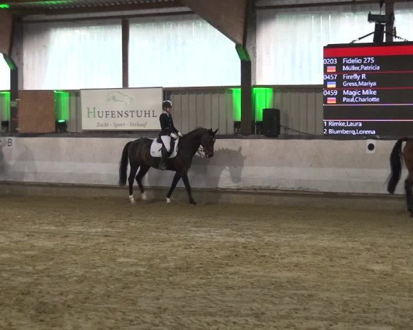Reitturnier Lindlar-Süttenbach 2019