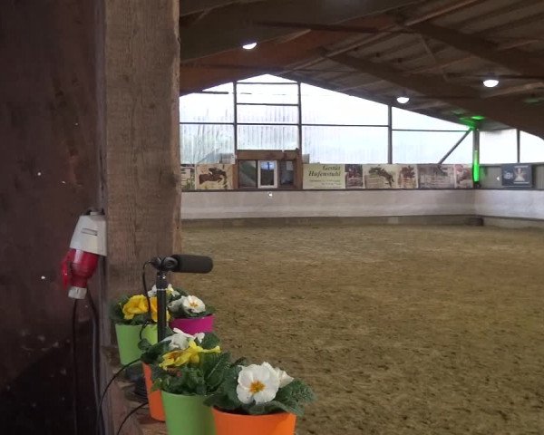 Reitturnier Lindlar-Süttenbach 2019