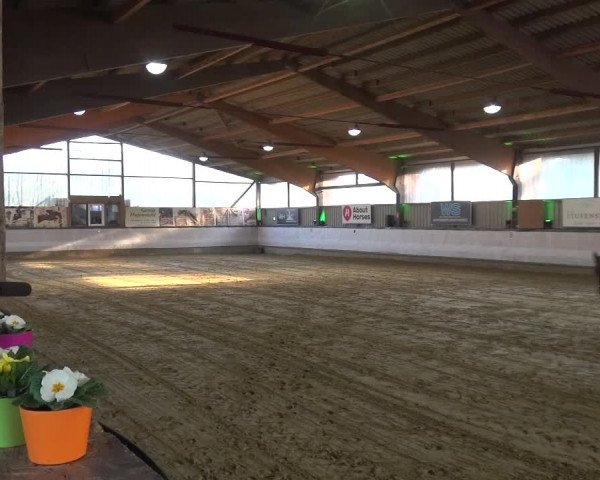 Reitturnier Lindlar-Süttenbach 2019