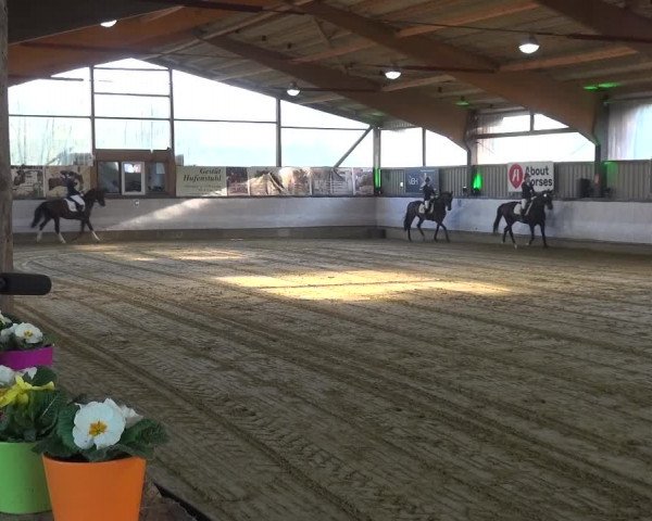 Reitturnier Lindlar-Süttenbach 2019
