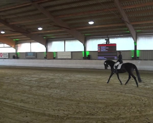 Reitturnier Lindlar-Süttenbach 2019