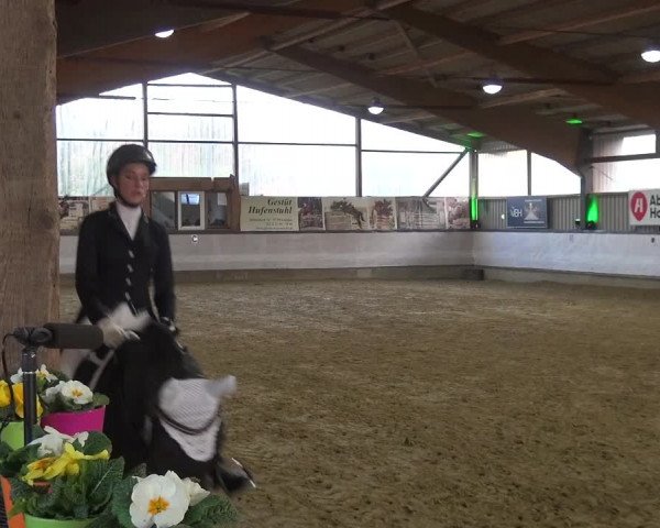 Reitturnier Lindlar-Süttenbach 2019