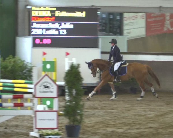 Reitturnier Jüchen-Waat 2019