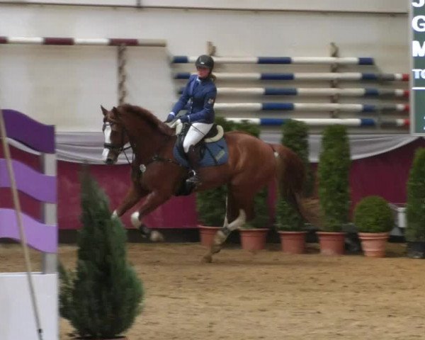 Reitturnier Eicherloh RH Laurent/Obb. 2019