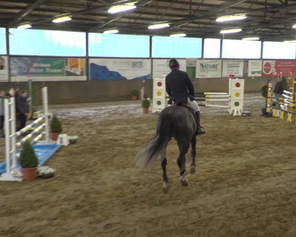 Reitturnier Jüchen-Waat 2019