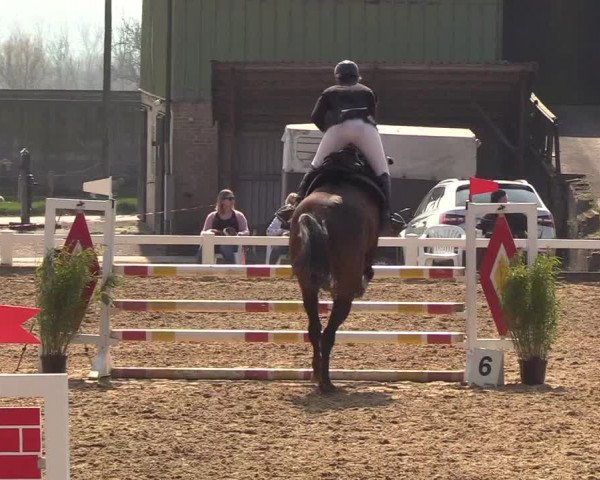 Reitturnier Behrendorf 2019