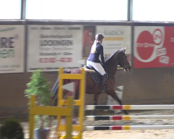 Reitturnier Jüchen-Waat 2019