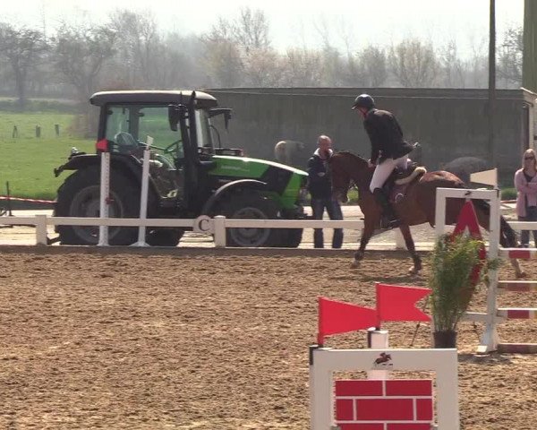Reitturnier Behrendorf 2019