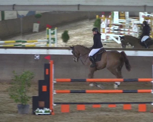 Reitturnier Jüchen-Waat 2019