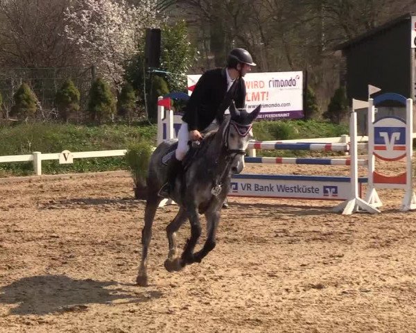 Reitturnier Behrendorf 2019