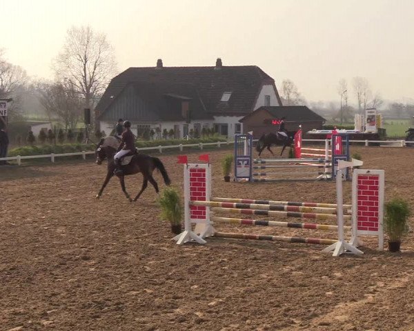 Reitturnier Behrendorf 2019