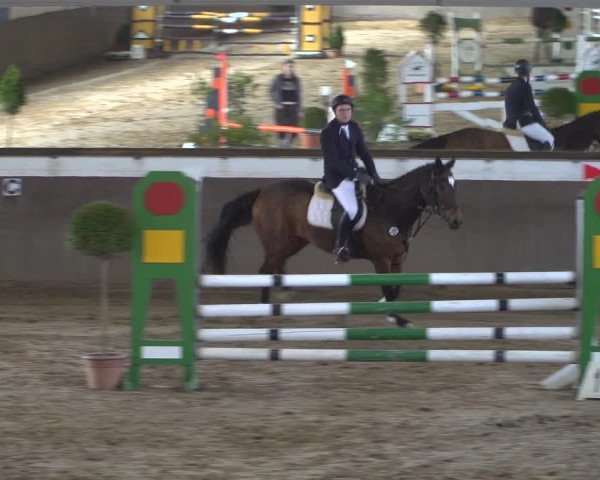Reitturnier Jüchen-Waat 2019