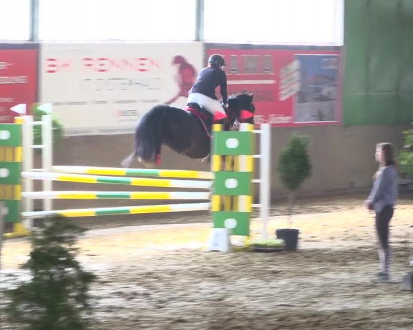 Reitturnier Jüchen-Waat 2019