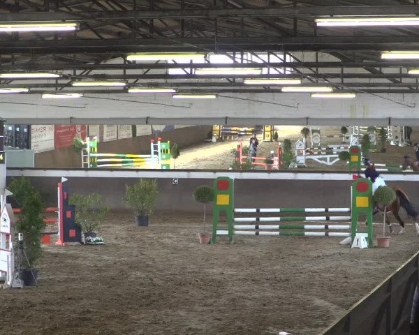 Reitturnier Jüchen-Waat 2019