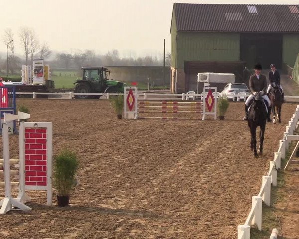Reitturnier Behrendorf 2019