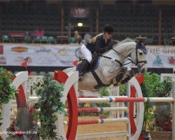 broodmare Dee Dee 3 (KWPN (Royal Dutch Sporthorse), 2008, from Douglas)