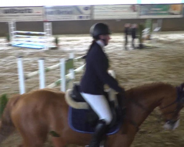 Reitturnier Jüchen-Waat 2019