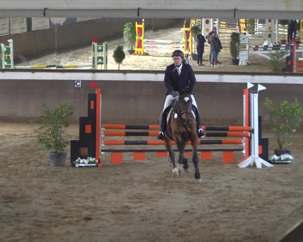 Reitturnier Jüchen-Waat 2019