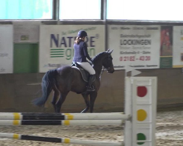 Reitturnier Jüchen-Waat 2019
