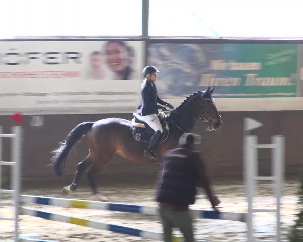 Reitturnier Jüchen-Waat 2019