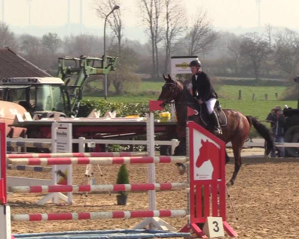 Reitturnier Behrendorf 2019